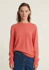 Cady O-Neck - Conch Shell